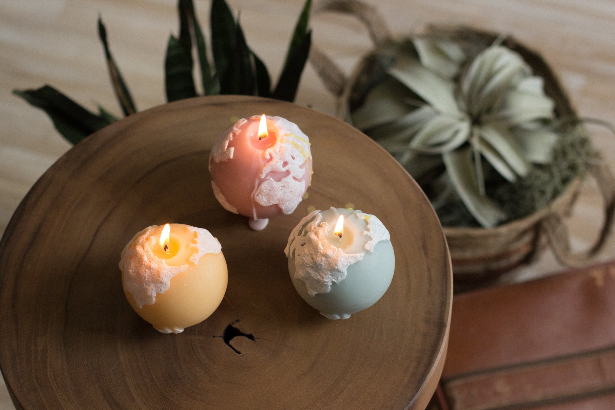 Miss Wood Candles! Travel with the sense of smell