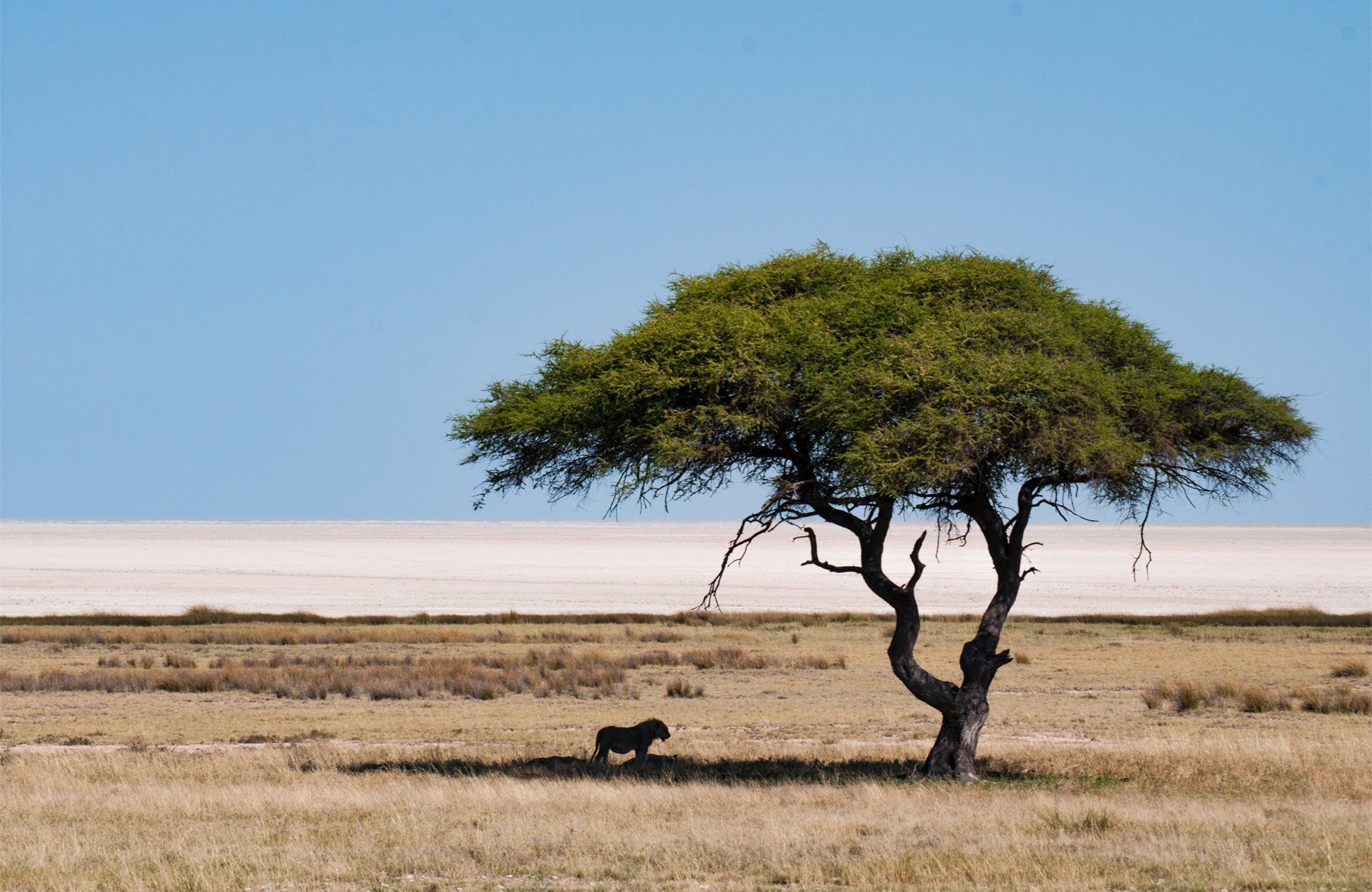Namíbia, a joia do deserto