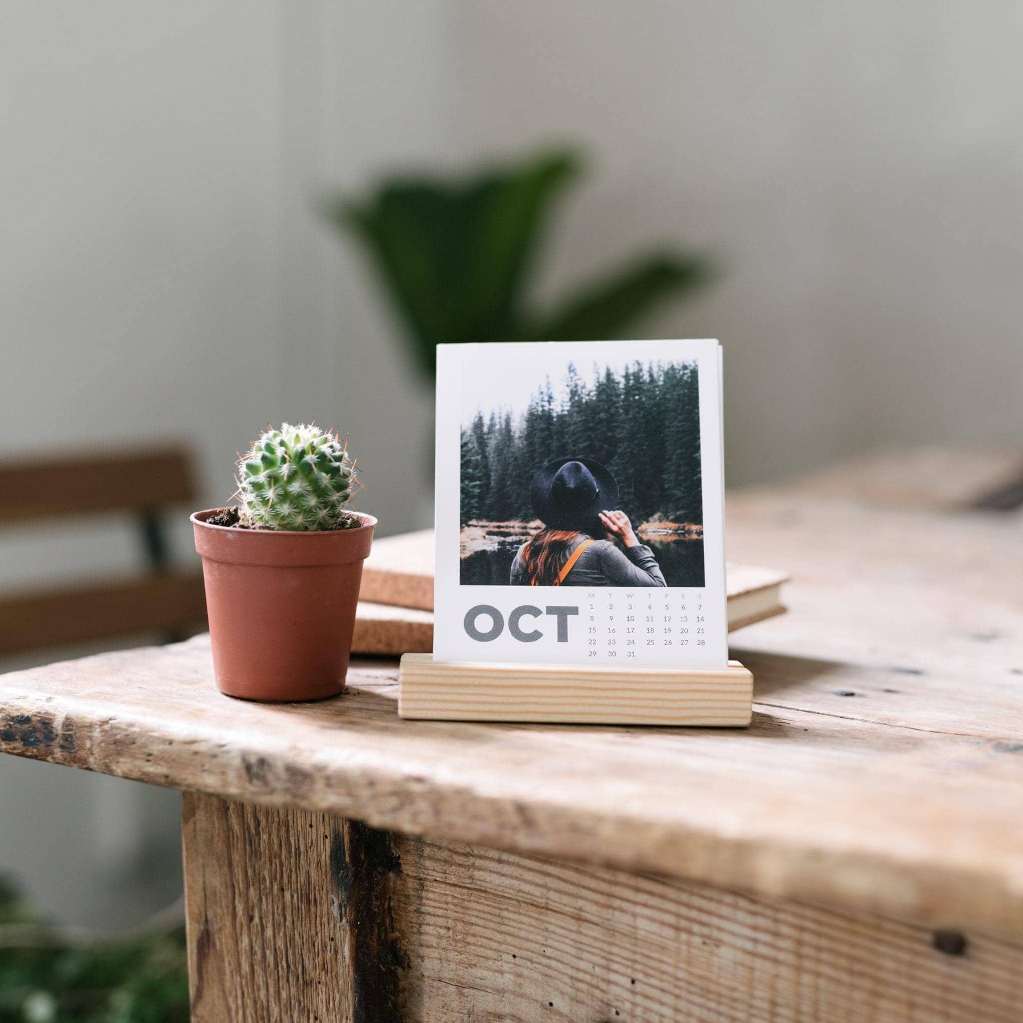 Calendario Personalizado 2026 - Misswood imx_personalized